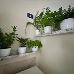 Дом отдыха La Dimora Nel Cilento