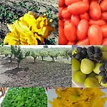 La Dimora Nel Cilento Дом отдыха