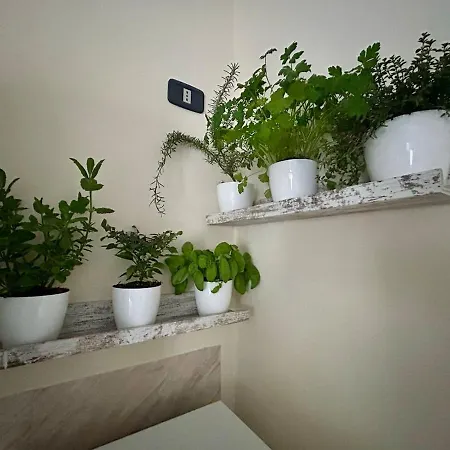 Ferienhaus La Dimora Nel Cilento