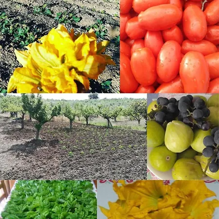 La Dimora Nel Cilento Prázdninový dům
